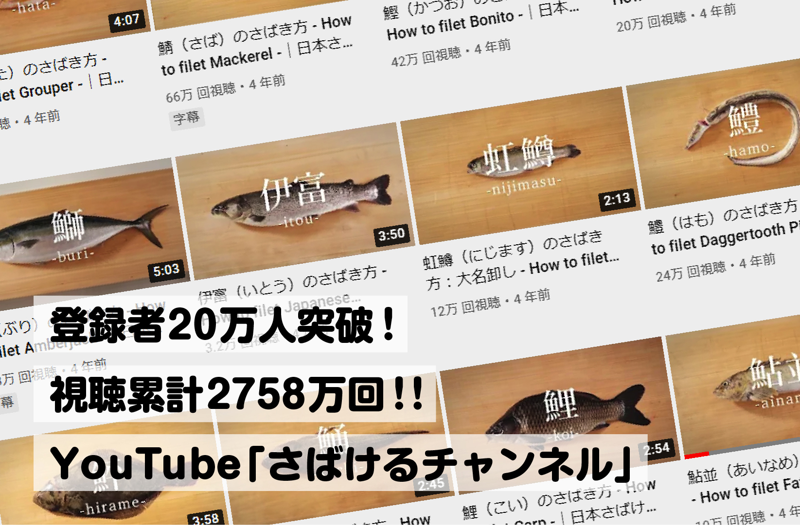 日本さばけるプロジェクト